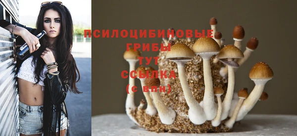 ешки Няндома