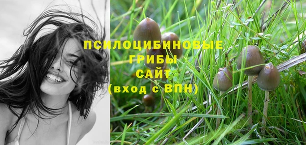 apvp Струнино