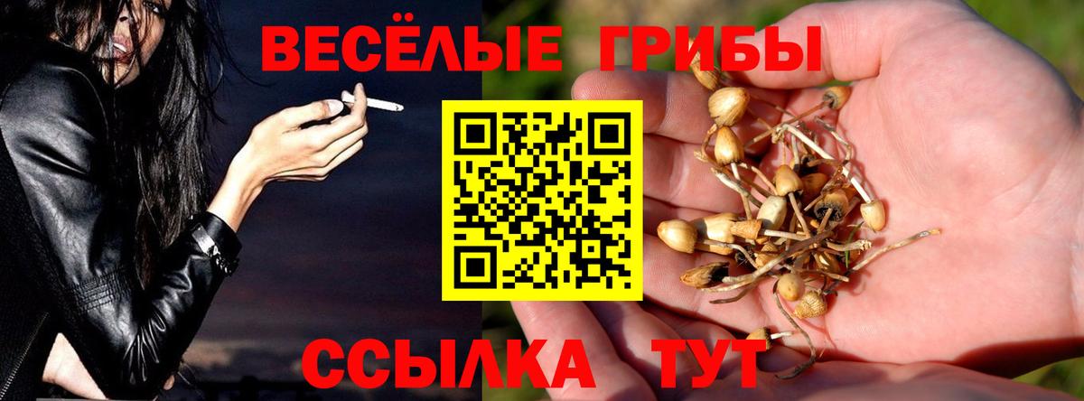 Галлюциногенные грибы MAGIC MUSHROOMS  Вход с VPN  Татарск  Галлюциногенные грибы мицелий 